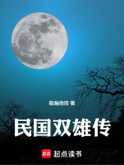 民国双雄传在线阅读