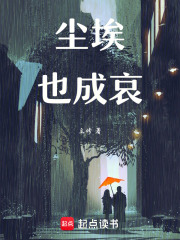 尘埃也成哀在线阅读