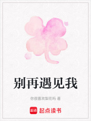 别再遇见我在线阅读
