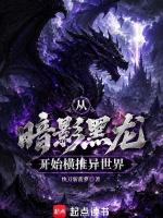 从暗影黑龙开始横推异世界在线阅读