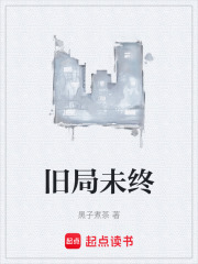 旧局未终在线阅读