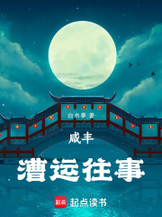 咸丰漕运往事在线阅读