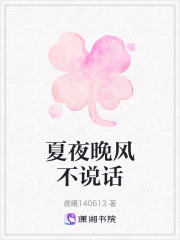 夏夜晚风不说话在线阅读