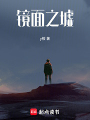 镜面之墟在线阅读