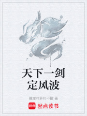 天下一剑定风波在线阅读