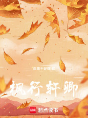 枫行轩卿在线阅读