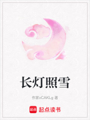 长灯照雪在线阅读