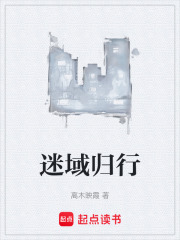 迷域归行在线阅读