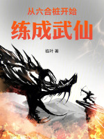 从六合桩开始练成武仙封面