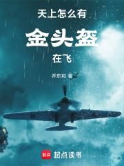 天上怎么有金头盔在飞在线阅读