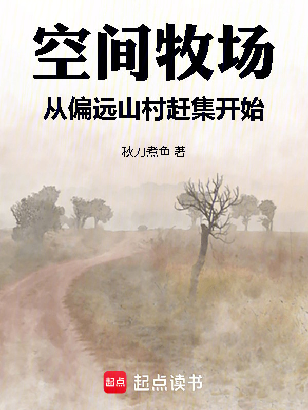 空间牧场：从偏远山村赶集开始在线阅读