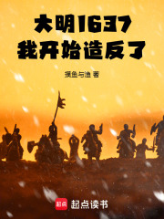 大明1637，我开始造反了在线阅读