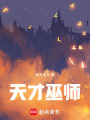 天才巫师在线阅读