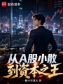 从A股小散到资本之王在线阅读