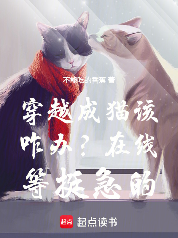 穿越成猫该咋办？在线等挺急的在线阅读