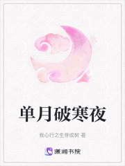 单月破寒夜在线阅读