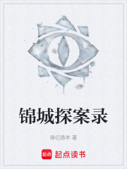 锦城探案录在线阅读