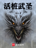 活桩武圣！封面