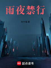 雨夜禁行在线阅读