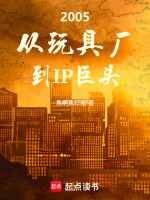 2005：从玩具厂到IP巨头封面