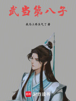 武当第八子封面
