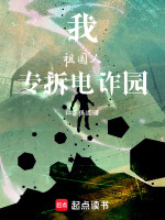 我，祖国人，专拆电诈园封面