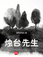 烛台先生在线阅读