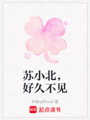 苏小北，好久不见在线阅读