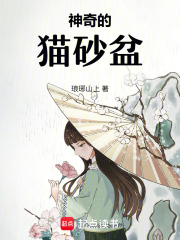 神奇的猫砂盆在线阅读