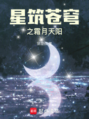 星筑苍穹之霜月天阳在线阅读