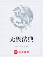 无畏法典在线阅读