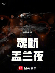 魂断盂兰夜在线阅读