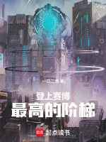 登上赛博最高的阶梯封面