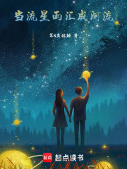 当流星雨汇聚成河在线阅读