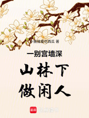 一别宫墙深山林下做闲人在线阅读