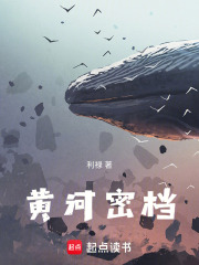 黄河密档在线阅读