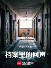 档案里的回声在线阅读