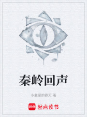 秦岭回声在线阅读
