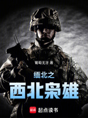 缅北之西北枭雄