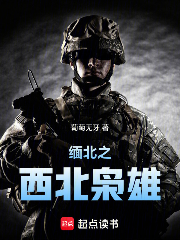 缅北之西北枭雄在线阅读