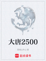 大唐2500封面