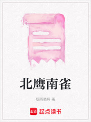 北鹰南雀在线阅读