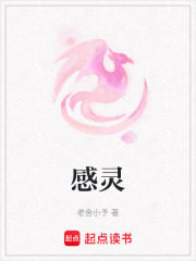 感灵在线阅读
