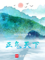 正气天下最新章节在线阅读