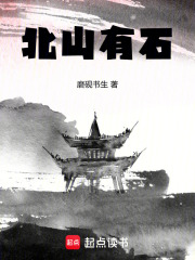 北山有石在线阅读