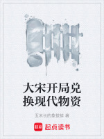 大宋开局兑换现代物资封面