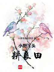 小野丫头耕良田在线阅读