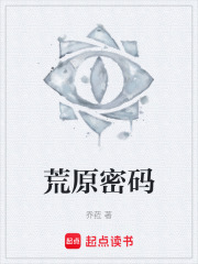 荒原密码在线阅读