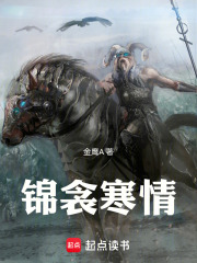 锦衾寒情在线阅读