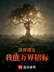 异界领主：我能万界招标在线阅读